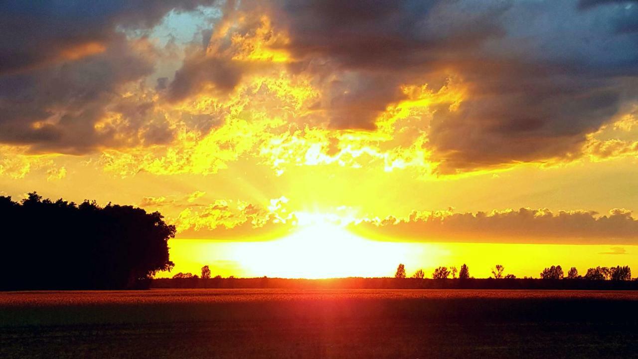 Ferienwohnungen Dirk Laurisch Radensdorf Luaran gambar