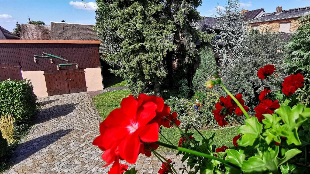 Ferienwohnungen Dirk Laurisch Radensdorf Luaran gambar